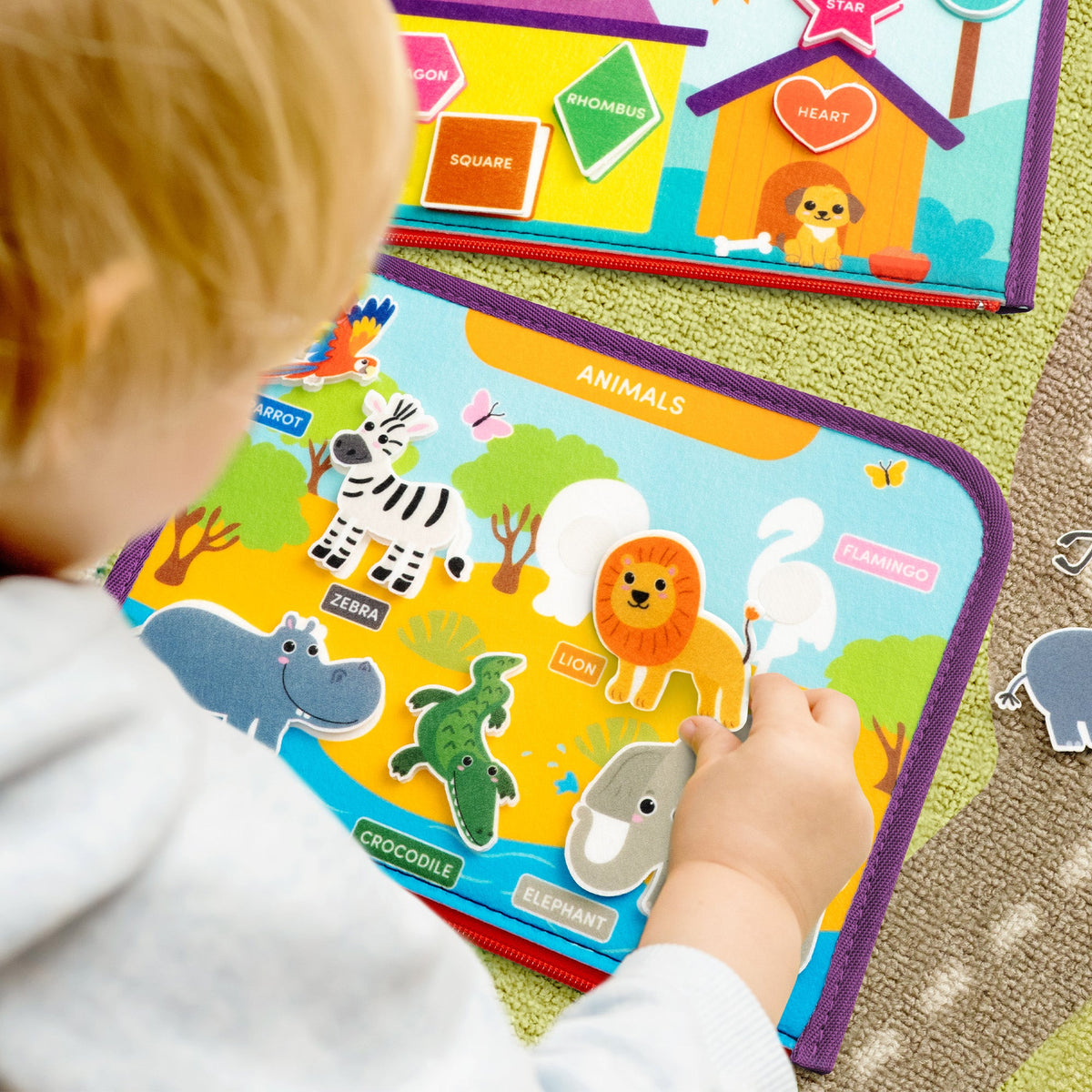 Ages 2+